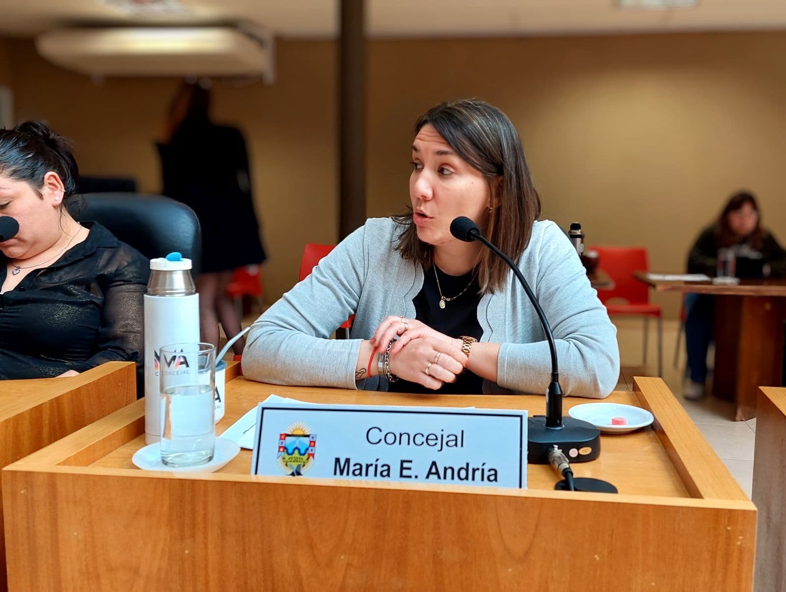 La Boleta Unica debe aplicarse en Viedma dice la concejal Andría