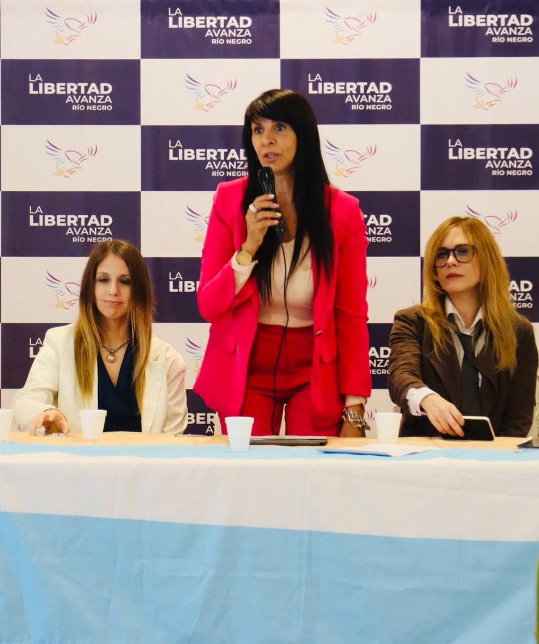 «Hoy nace definitivamente el partido del Presidente Javier Milei en Río Negro»