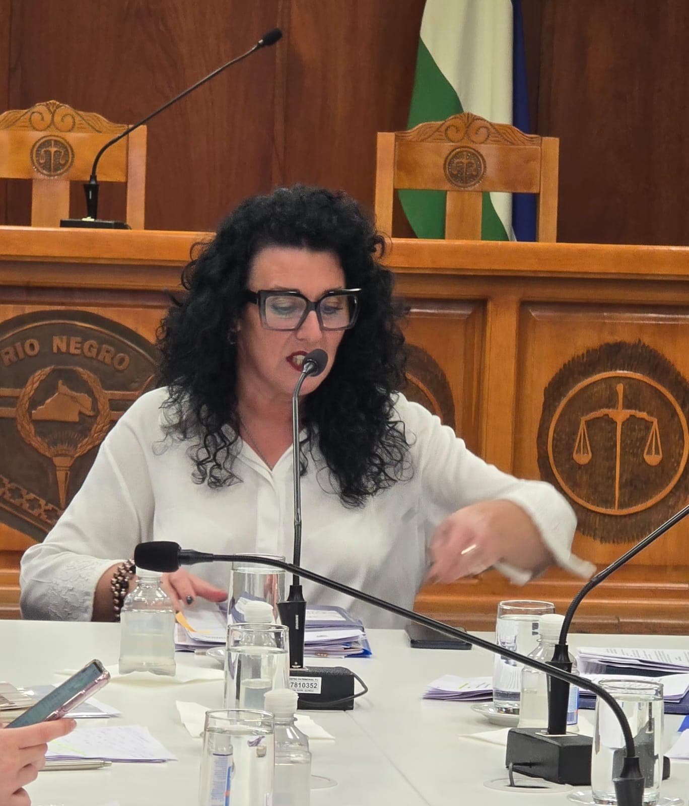 «Incongruencia y conceptos preocupantes» palabras utilizadas de Criado hacia el legislador que cambió su postura en el caso Guerra Labayén