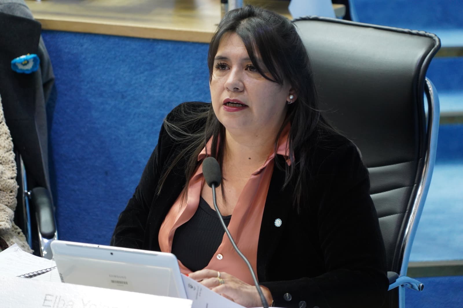 Una legisladora quiere que no se cobre más una tasa judicial destinada al gremio SITRAJUR