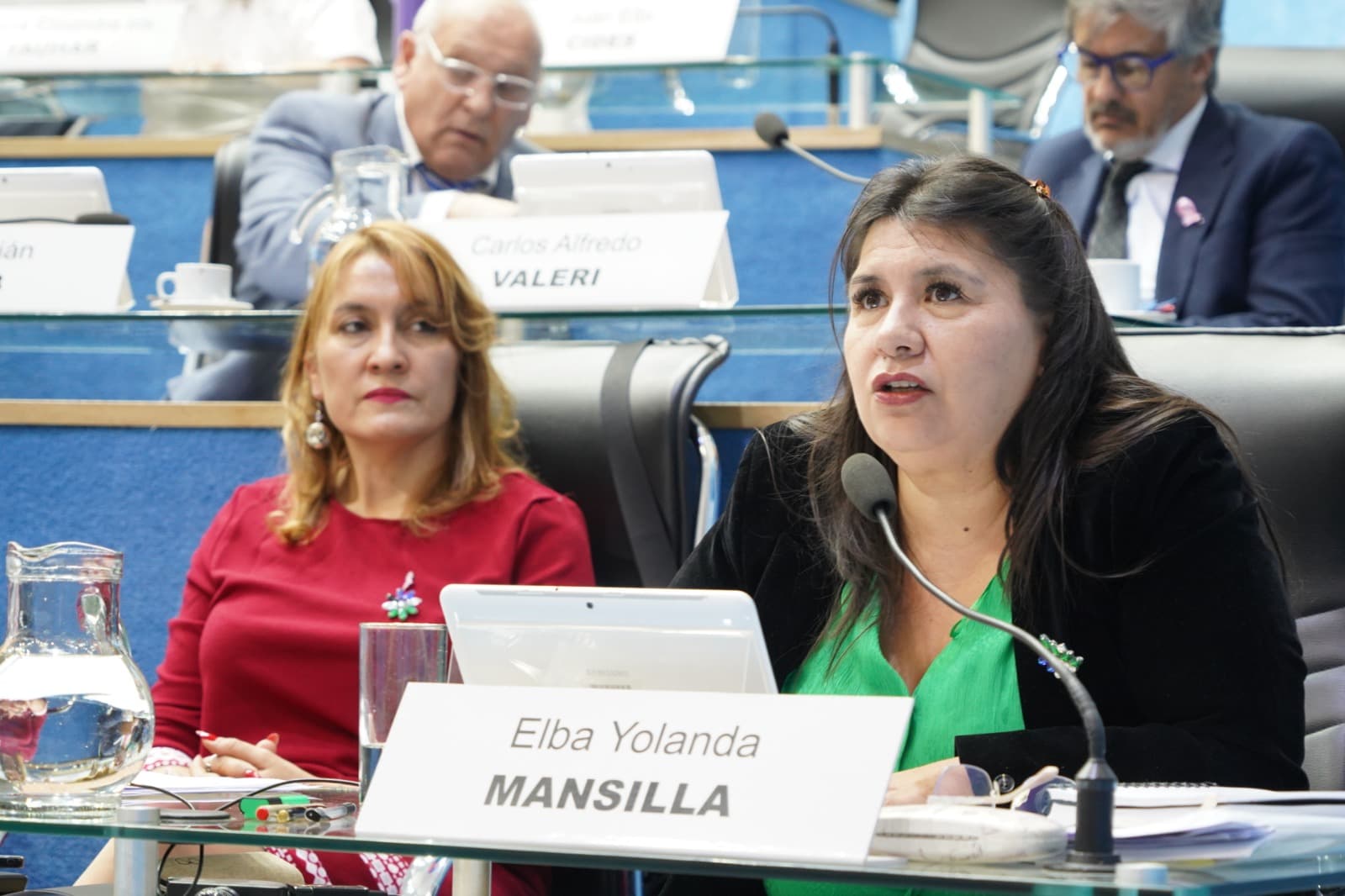 Aprobaron la eliminación de tasas en procesos judiciales destinadas a Sitrajur