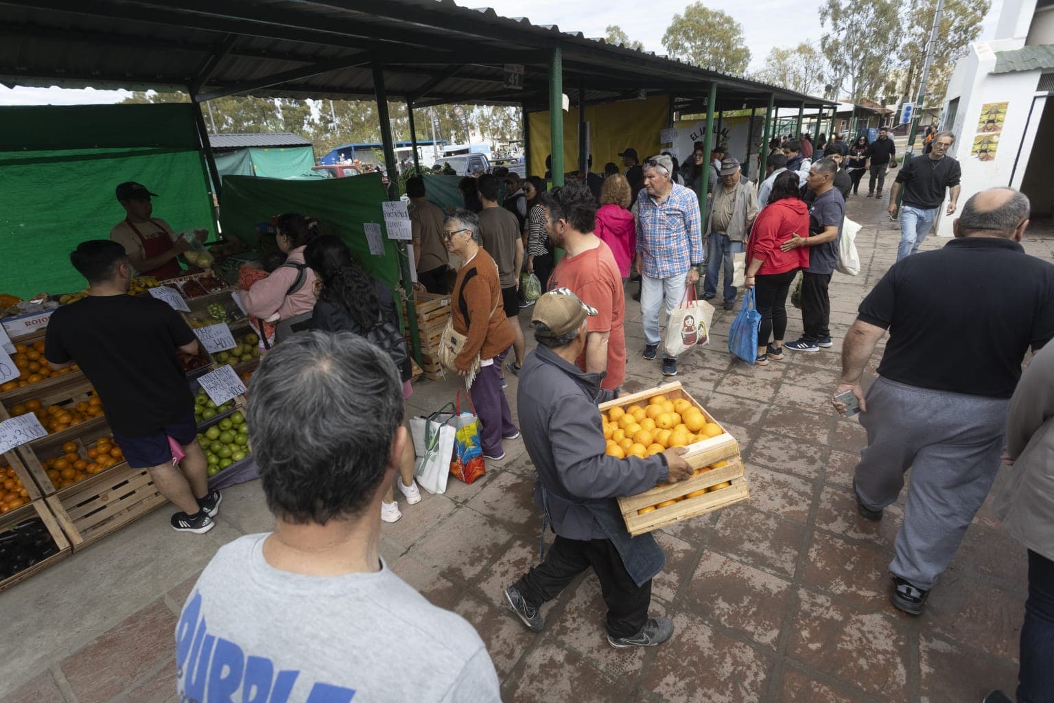 El 24 y el 31 los vecinos de la Comarca podrán ir a comprar a la Feria Municipal de Viedma