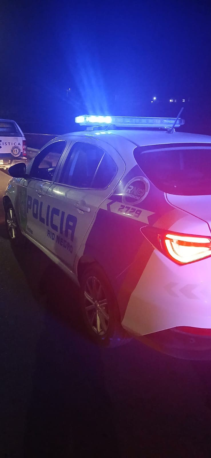 Demoraron a dos menores luego de cometer un robo en un comercio de calle Alberdi en Viedma