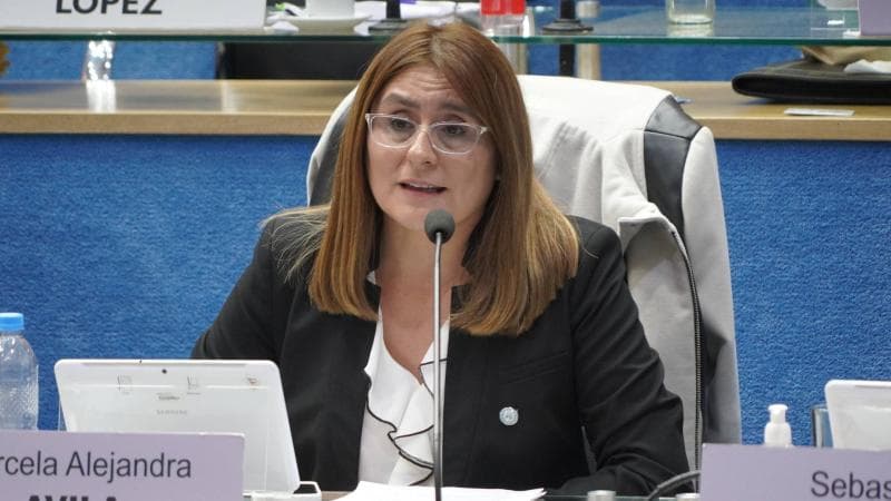 Se aprobó en la Legislatura la bonificación del impuesto de Ingresos Brutos a los jóvenes contribuyentes