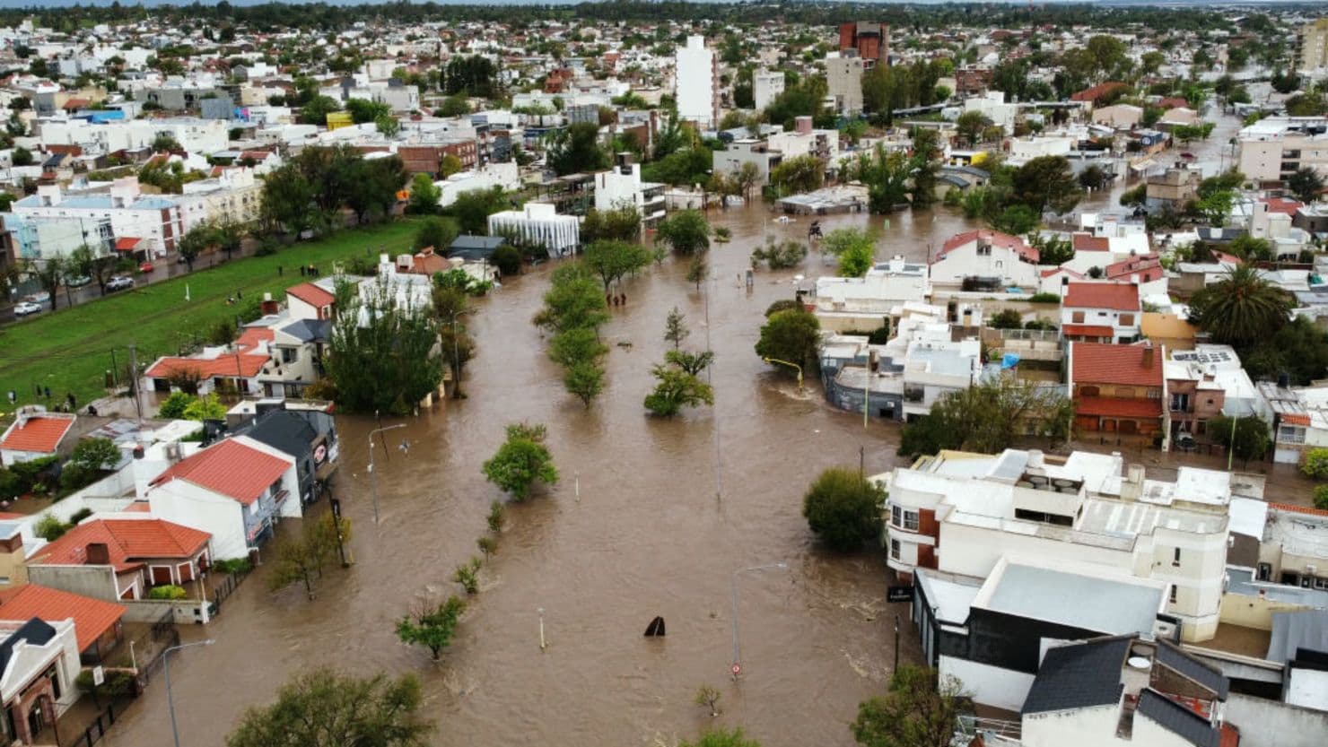 Fue rescatada en medio de la inundación en Bahía y buscan la restitución de sus derechos