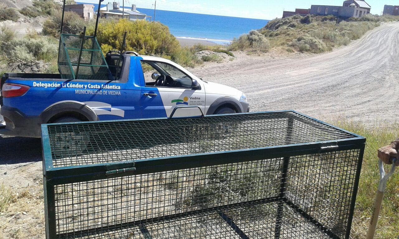 Dos días a la semana se recolecta la basura en el Camino de la Costa, hasta Pozo Salado
