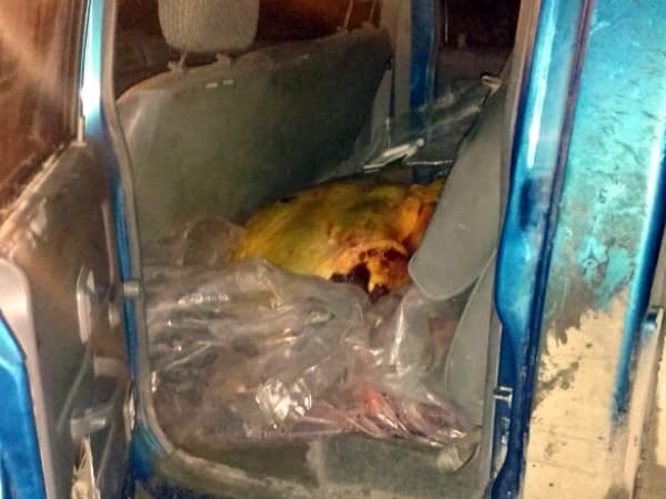 Transportaba clandestinamente 110kg de carne de potro, se la secuestraron y lo multaron