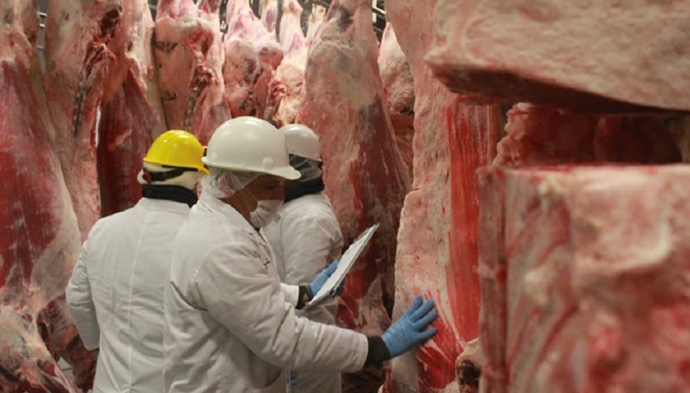 El gobierno nacional ratificará que podrá comenzar a ingresar carne con hueso desde el norte
