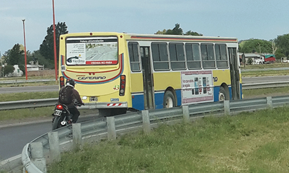 Ceferino y La Comarca son las únicas empresas que se presentaron en la licitación para el transporte público