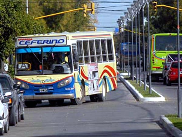 Entrevista a Carlos Balogh (Empresa Ceferino): Día del colectivero y situación económica de la empresa