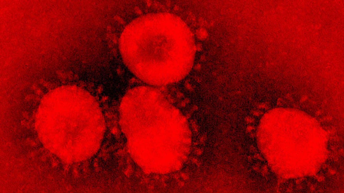 Cuatro fallecidos y más de 100 casos de coronavirus en Rio Negro