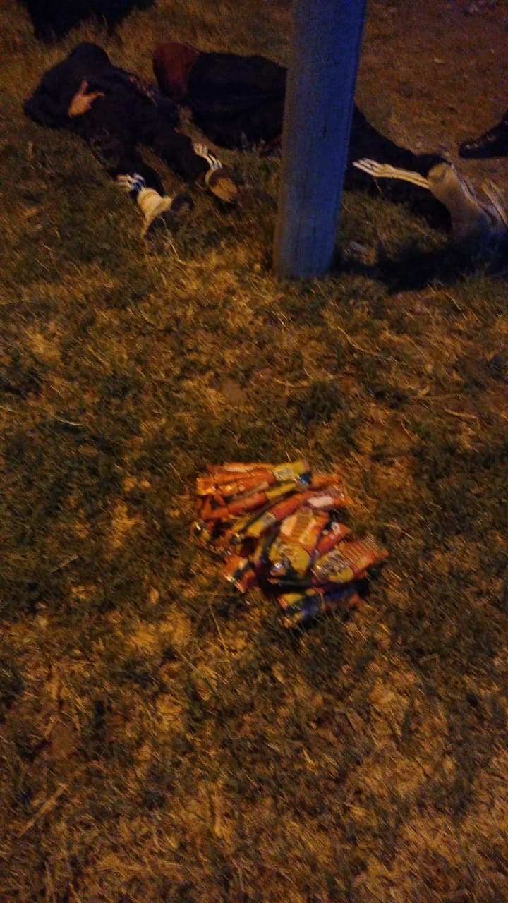 Detienen a dos jóvenes con mercadería robada en una despensa en Viedma