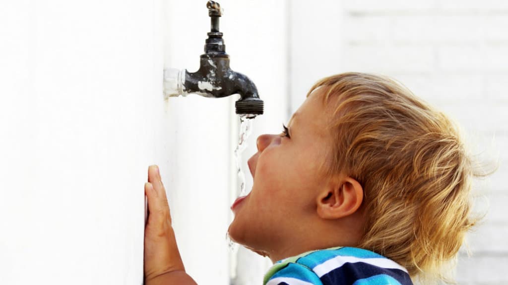 Consejos y medidas preventivas para evitar golpes de calor