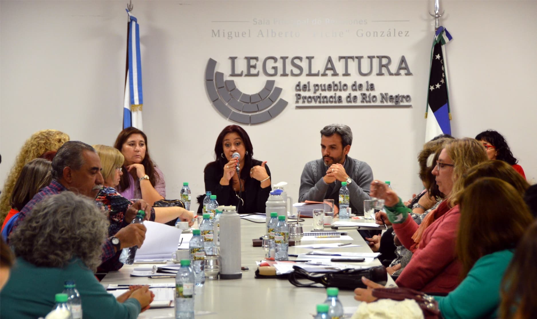 En la Legislatura se debate sobre el estado del edificio del Archivo Histórico provincial