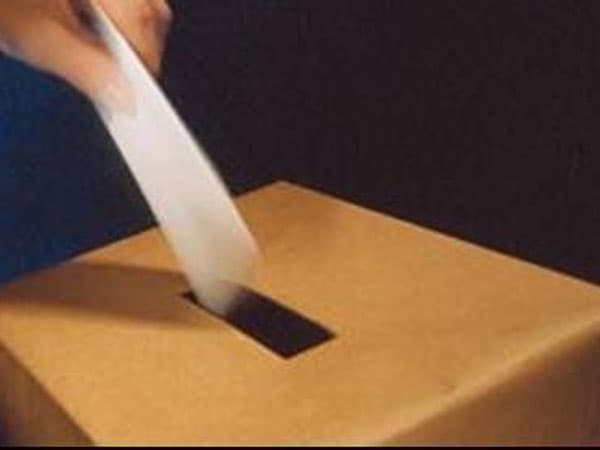 Las 15 convocatorias a elecciones municipales están disponibles en la web
