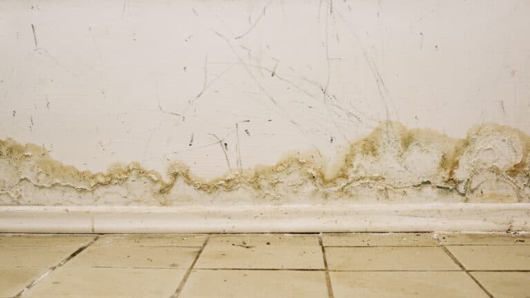 Vecinos fueron condenados a pagar indemnización por filtraciones de agua que dañaron materiales