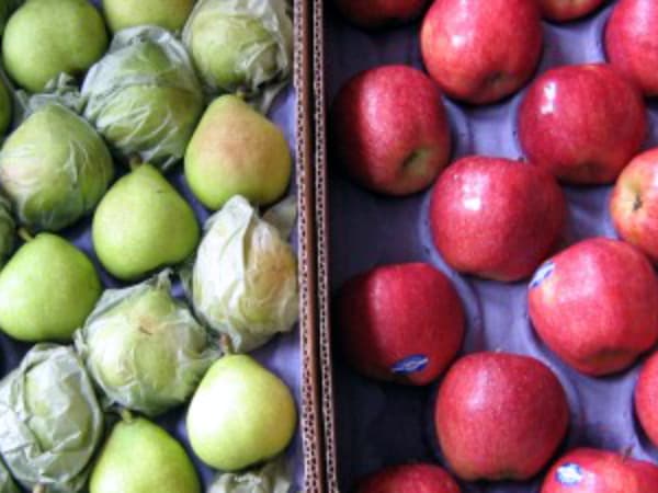 El incremento tarifario de energía provoca fuerte impacto en frigoríaficos de fruta