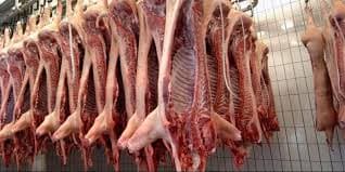Las exportaciones de cerdo argentino aumentaron 250% en el primer trimestre de 2019