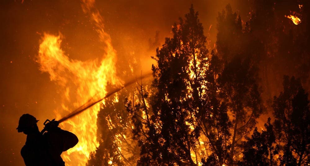 En Viedma prohibieron todo tipo de quemas por el alto riesgo de incendios