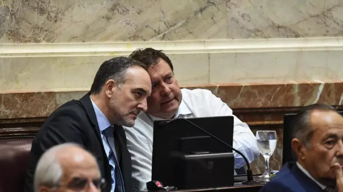 «Que está pasando con los compañeros»