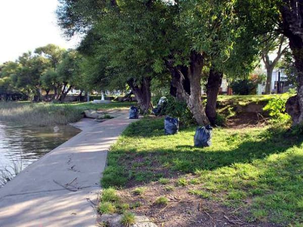 Comenzó la limpieza de residuos en la costanera de Carmen de Patagones