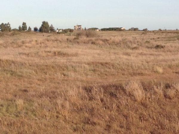 Vendió un lote social y la municipalidad se lo desadjudicó