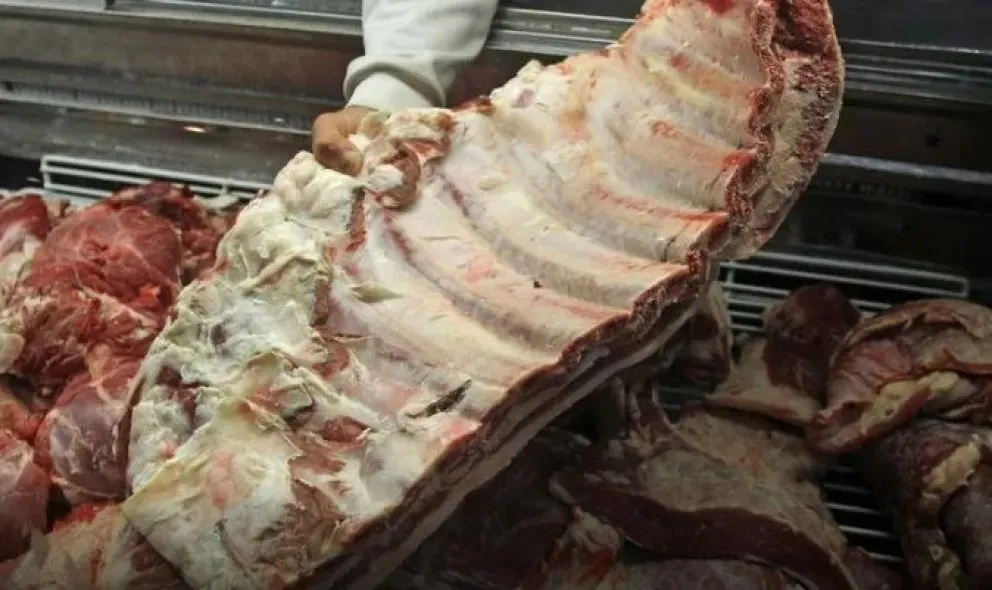 Habilitan el ingreso de carne con hueso a la Patagonia lo anunció el Senasa
