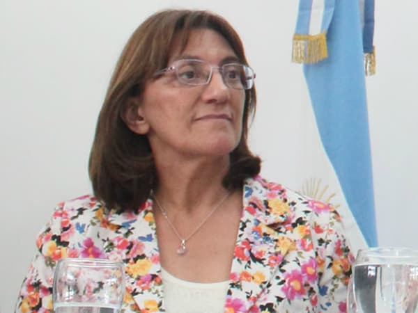 Silva confirmó la continuidad del Plan FinEs en Río Negro