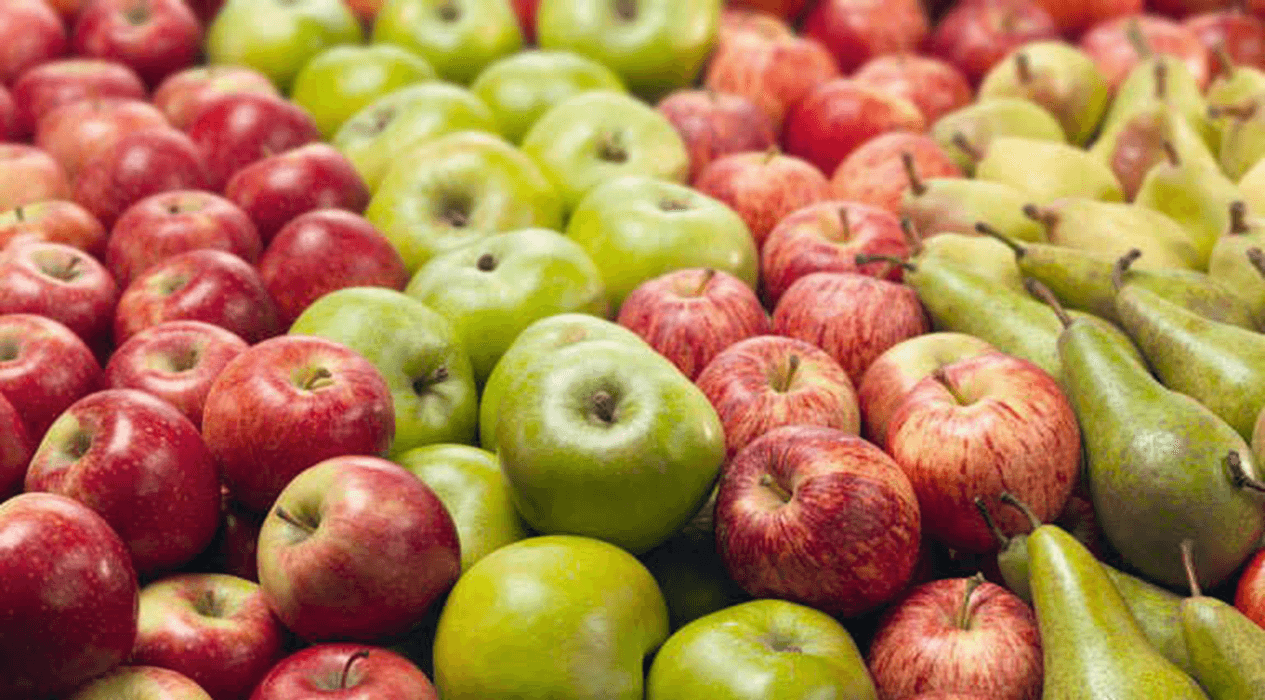 Las peras y las manzanas rionegrinas estarán en los comedores escolares provinciales
