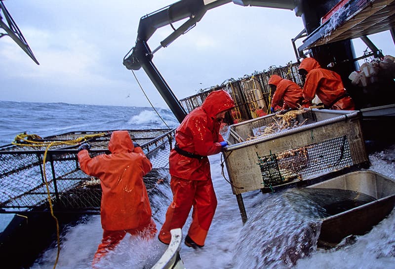Cargó cajones de 40 kilos de pescado por 30 años y le ocasionó importantes lesiones ahora deberá ser indemnizado