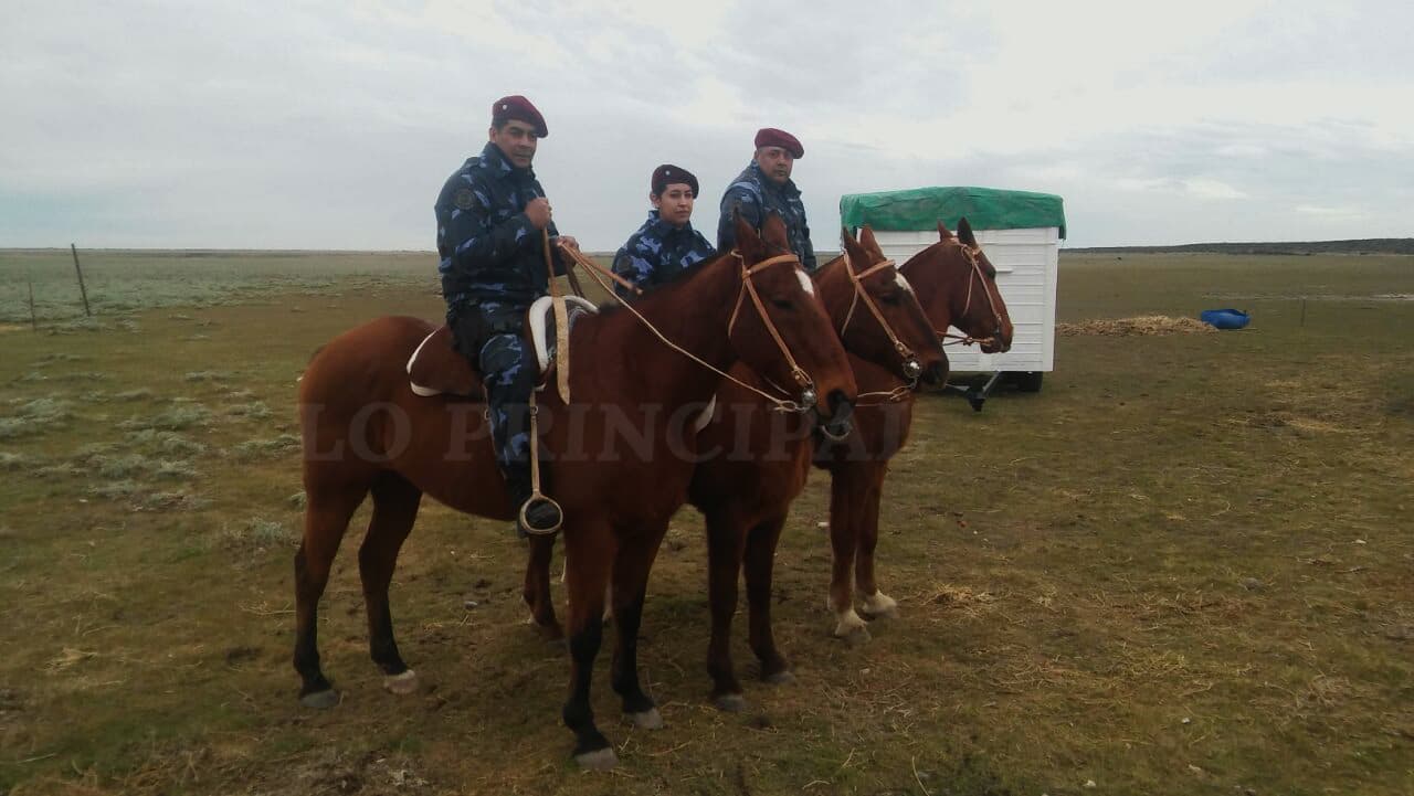 Próximamente la Policía Montada de Río Negro recorrerá las calles de Viedma