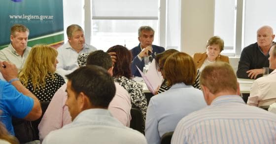 Los legisladores acompañaron la propuesta de hidrógeno verde