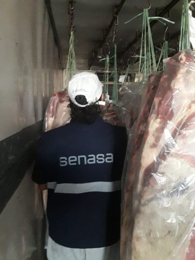 Decomisaron 316 costillares que eran transportados desde Rio Colorado a Roca